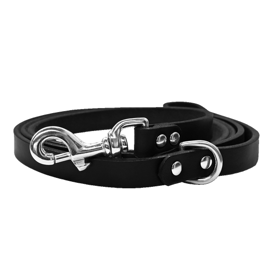 Dog Leash Black Nickel
