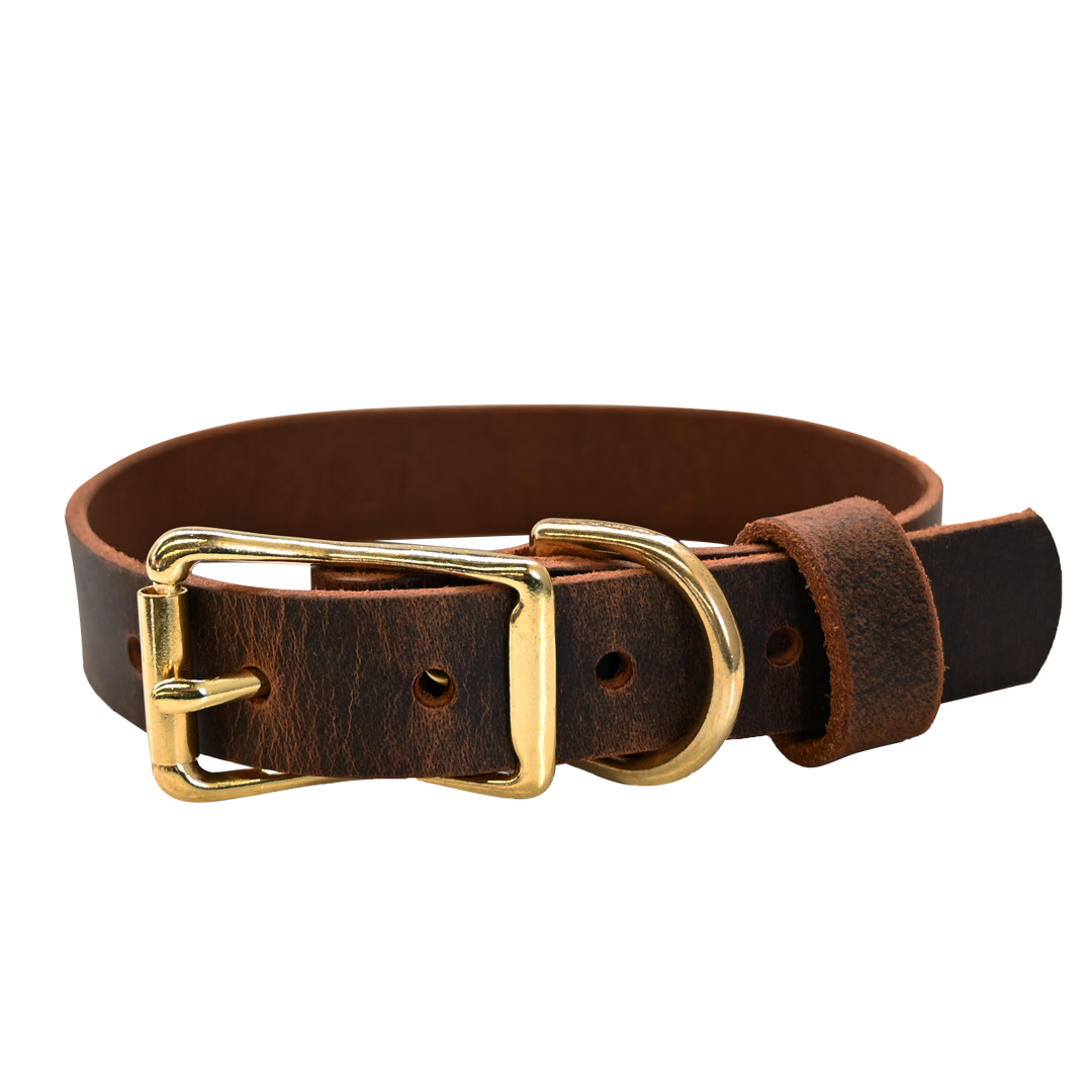 Standard Dog Collar - Distressed Brown - Brass