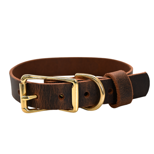 Standard Dog Collar - Distressed Brown - Brass