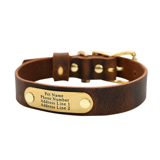 Distressed Brown Collar - Brass Nameplate