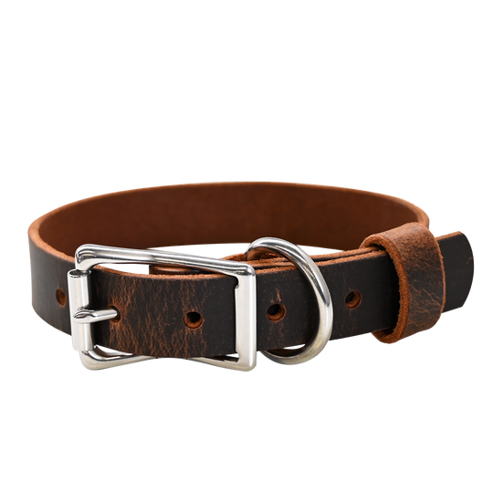 Standard Dog Collar - Distressed Brown - Nickel 