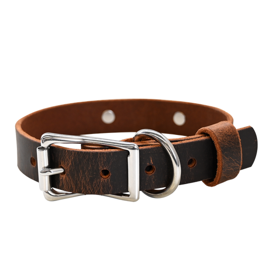 Distressed Brown Collar - Nickel Hardware