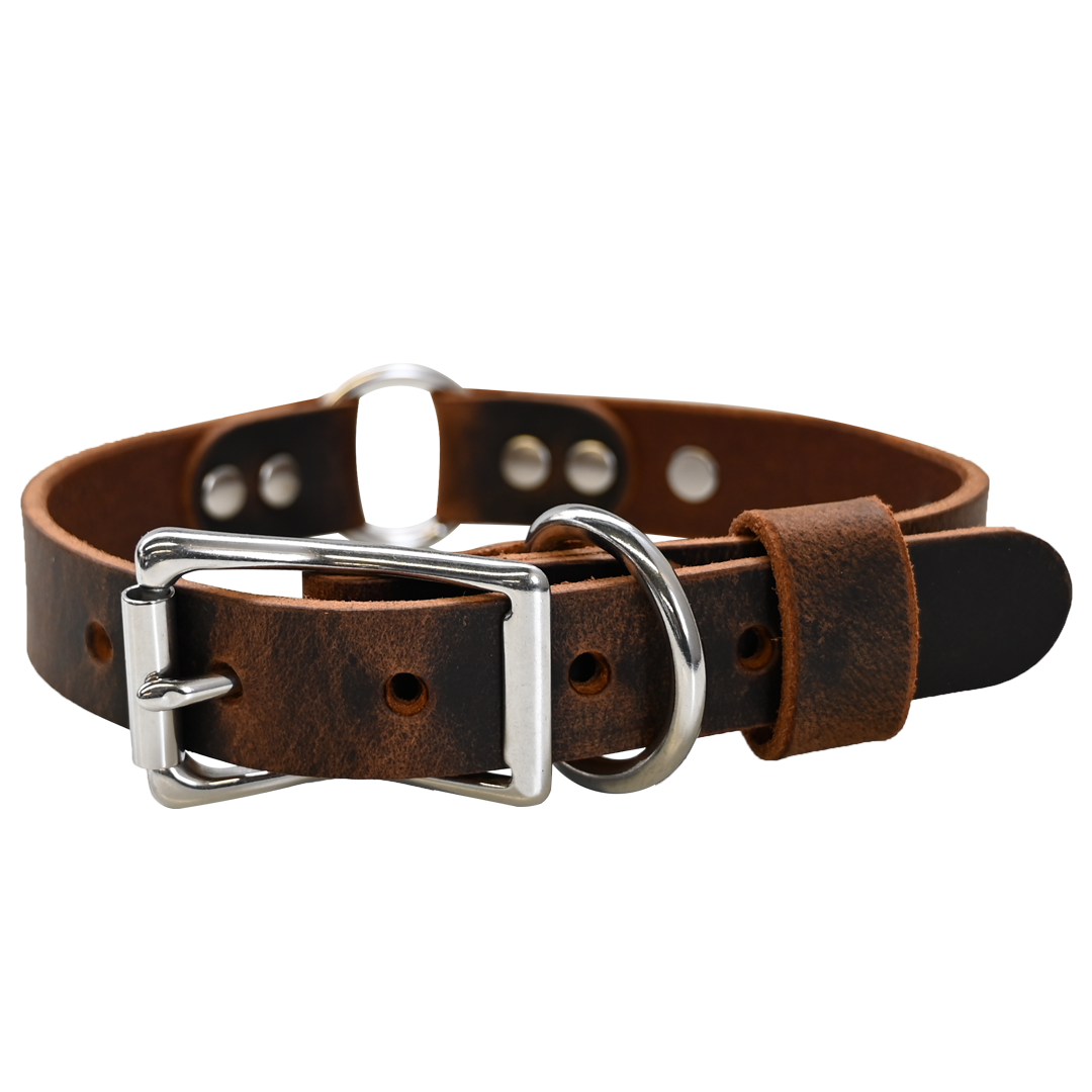 Personalized Hunting Dog Collar - Distressed Brown - Nickel Hardware