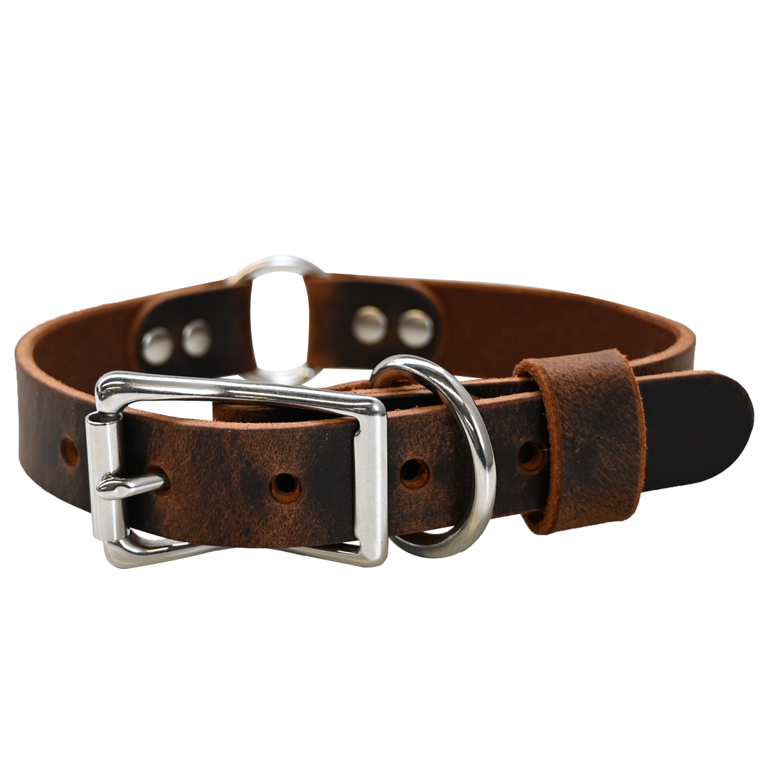 Hunting Dog Collar - Distressed Brown - Nickel