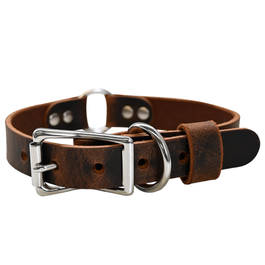 Hunting Dog Collar - Distressed Brown - Nickel