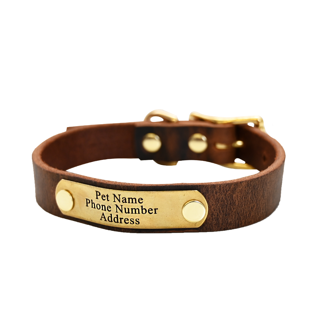 Small Breed Dog Collar - Distressed Brown - Brass Plate