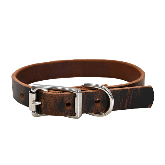 Small Breed Dog Collar - Distressed Brown - Nickel
