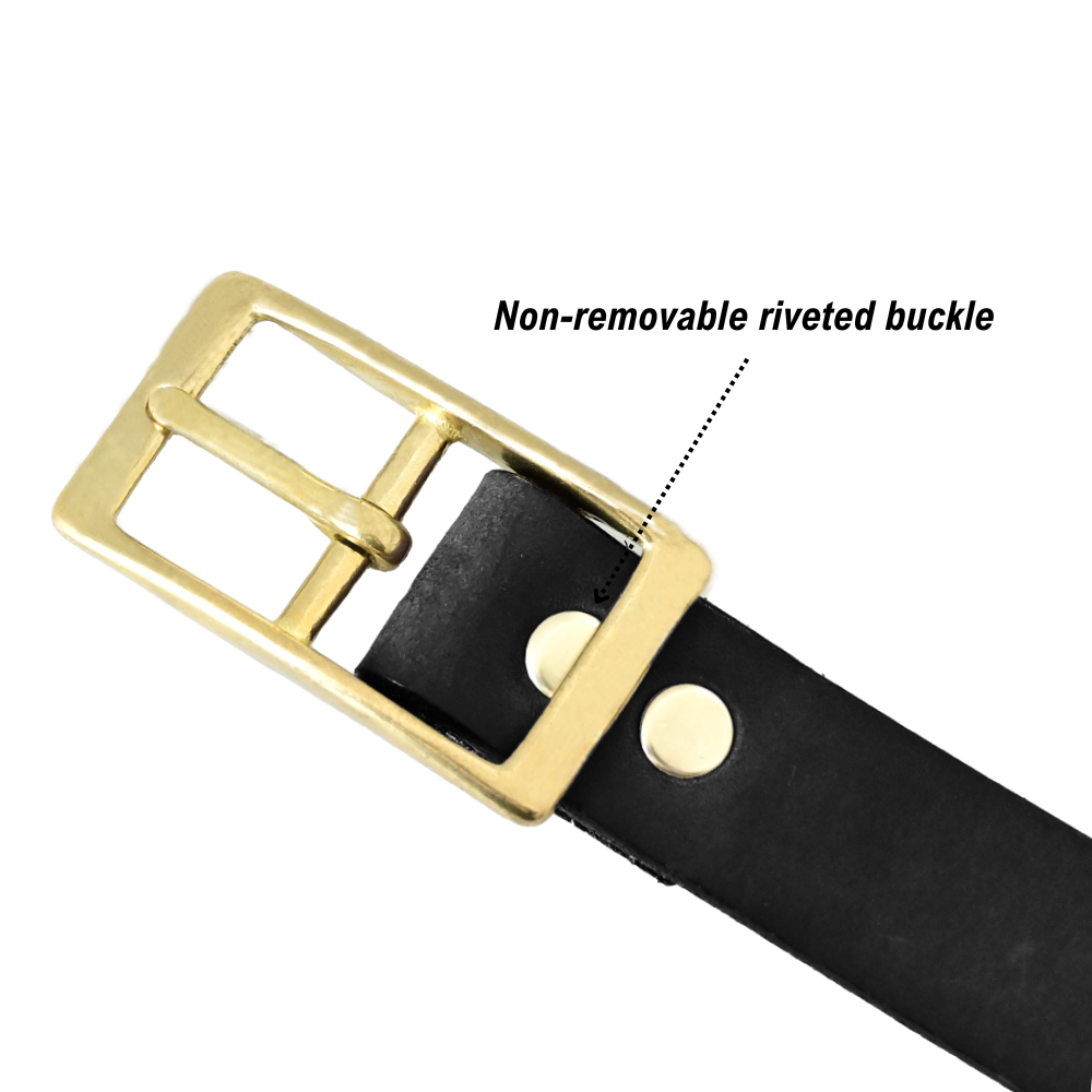 Legacy Belt Riveted Buckle