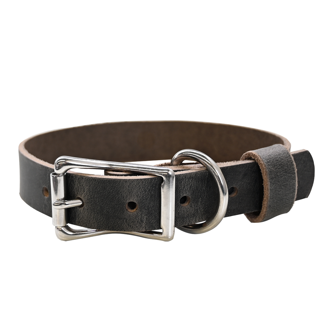 Standard Dog Collar - Distressed Gray - Nickel 