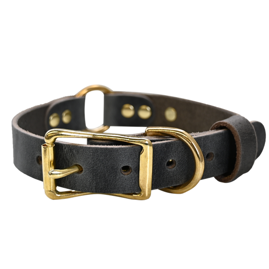 Personalized Hunting Dog Collar - Distressed Gray - Brass Hardware
