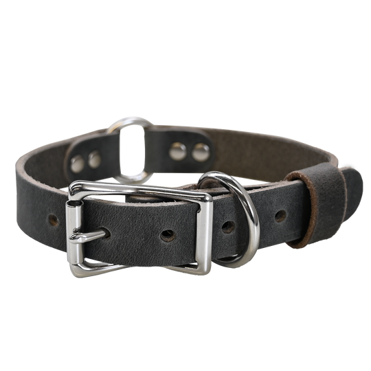 Hunting Dog Collar - Distressed Gray - Nickel