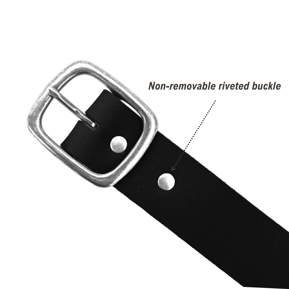 Tuckerman Belt - Black - Nickel - Infographic