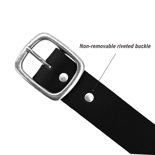 Tuckerman Belt - Black - Nickel - Infographic