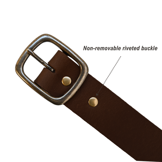 Tuckerman Belt - Distressed Brown - Antique Brass - Infographic