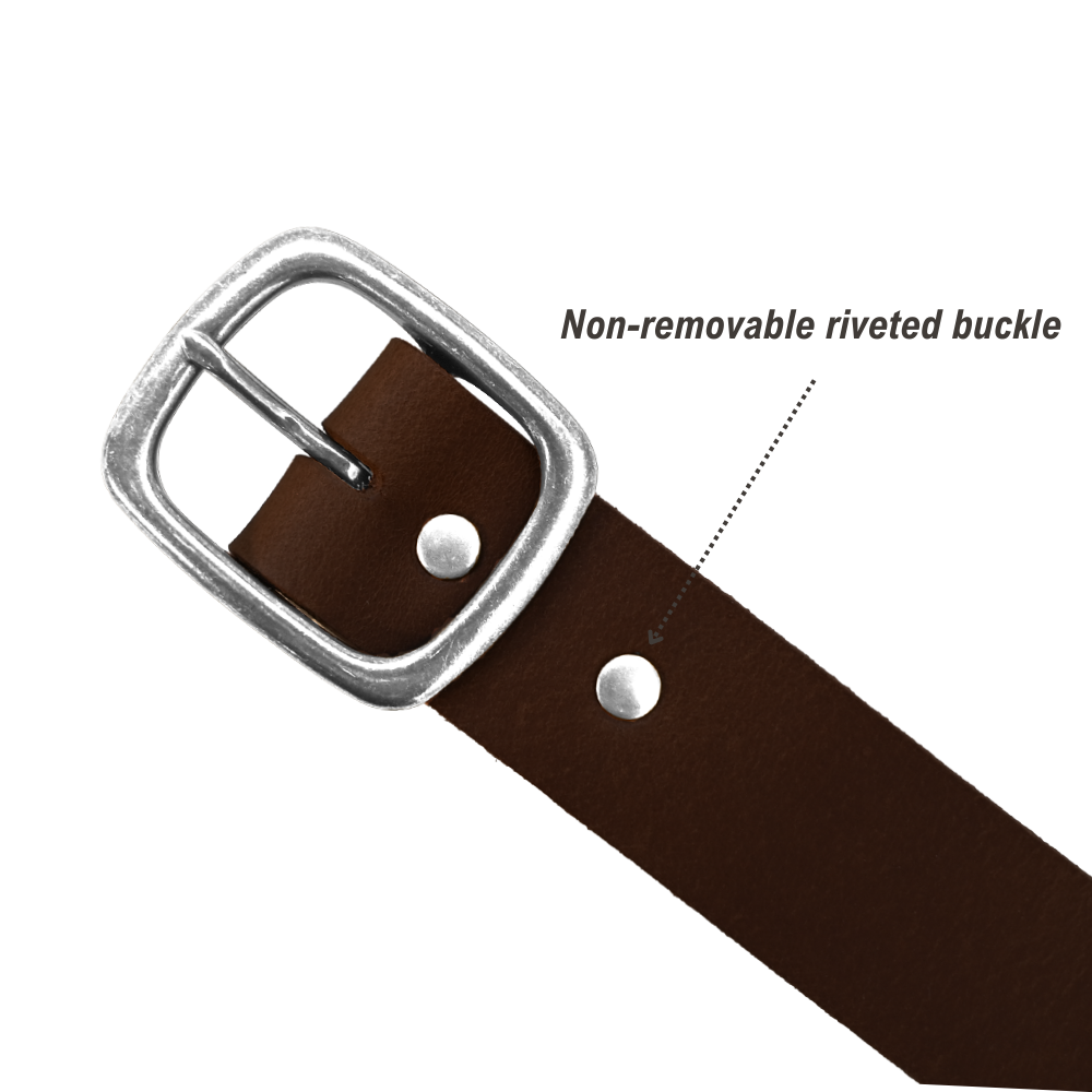 Tuckerman Belt - Distressed Brown - Nickel - Infographic