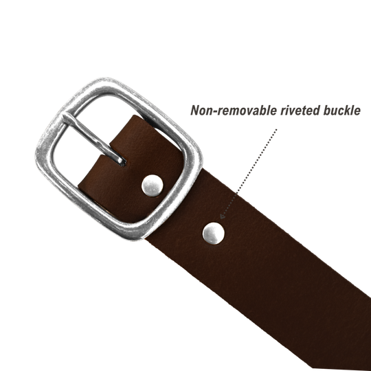Tuckerman Belt - Distressed Brown - Nickel - Infographic