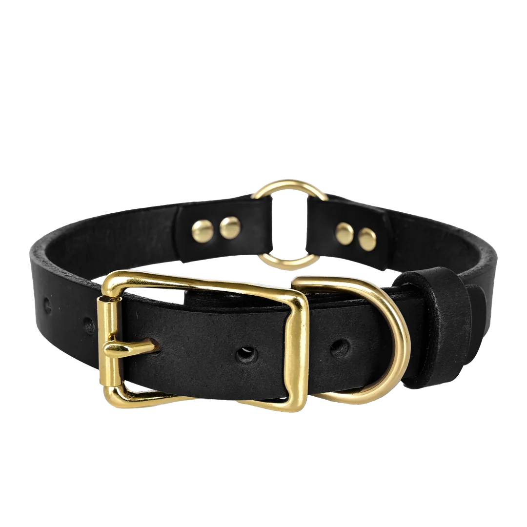 Hunting Leather Dog Collar - Black Leather - Brass Hardware