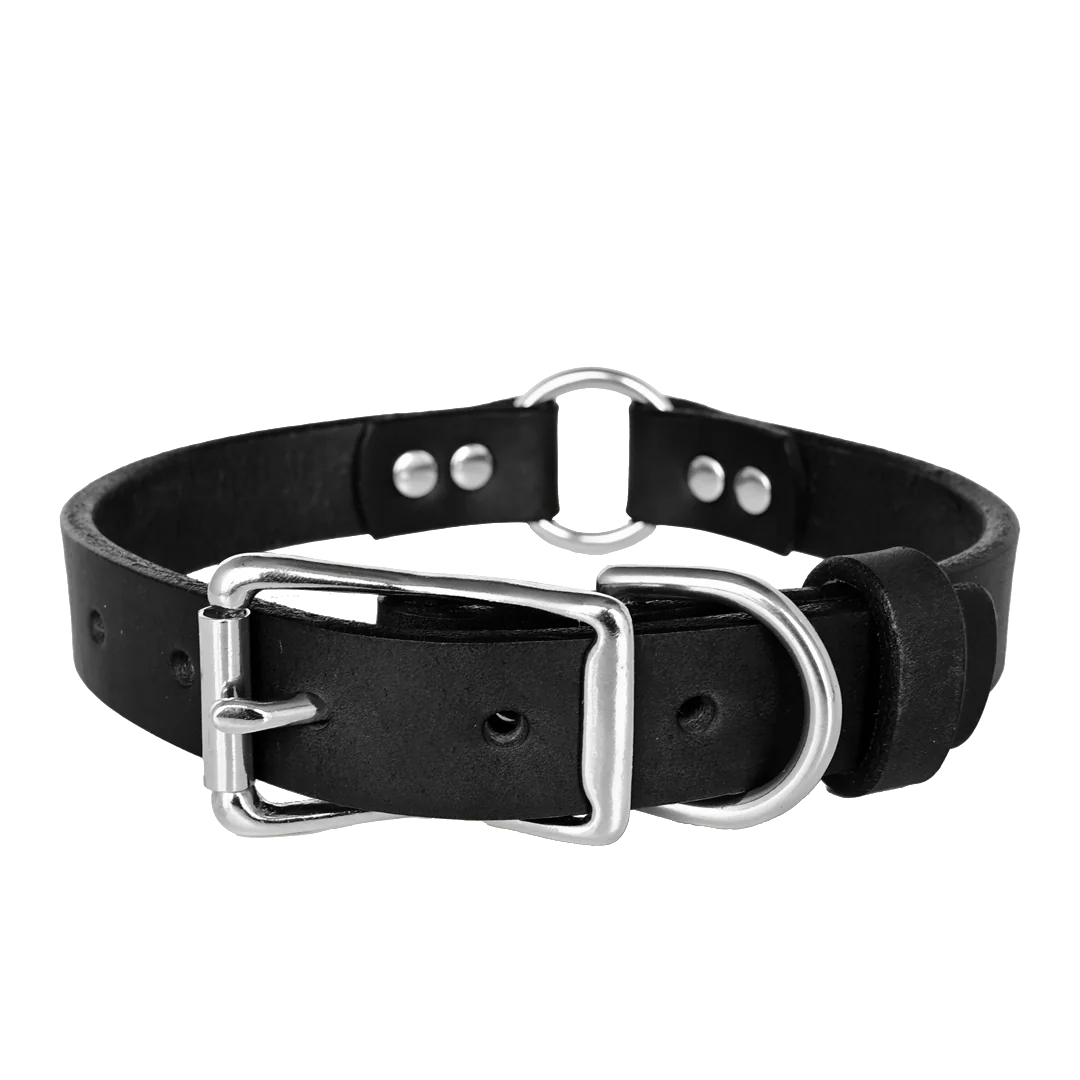 Hunting Leather Dog Collar - Black Leather - Nickel Hardware