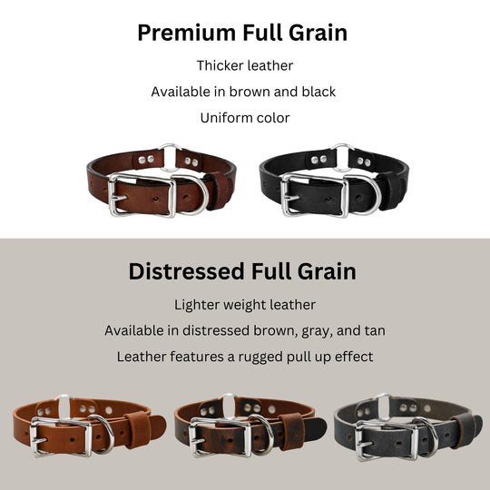 Personalized Hunting Dog Collar Infograph