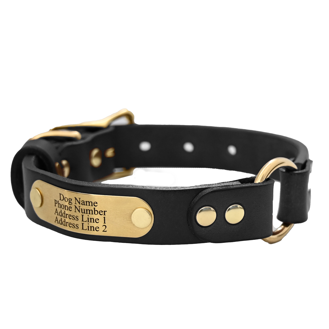 Personalized Hunting Dog Collar - Black Leather - Brass Name Plate