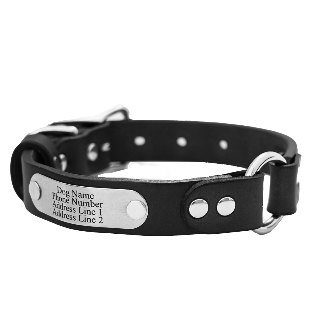 Personalized Hunting Dog Collar - Black Leather - Stainless Steel Name Plate