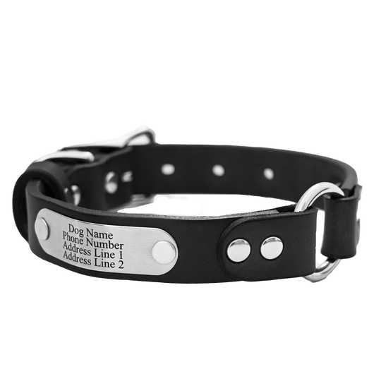 Personalized Hunting Dog Collar - Black Leather - Stainless Steel Name Plate