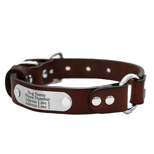 Personalized Hunting Dog Collar - Brown Leather - Stainless Steel Name Plate