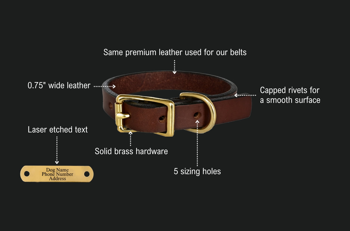 personalized small breed dog collar features: same premium leather used for our belts, 0.75 inch wide leather, capped rivets for a smooth surface, 5 sizing holes, solid brass hardware, and a laser etched brass name plate with dog name, phone number and address.