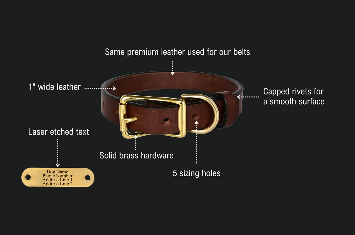 personalized dog collar features: same premium leather used for our belts, 1 inch wide leather, capped rivets for a smooth surface, 5 sizing holes, solid brass hardware, and a laser etched brass name plate with dog name, phone number and address.