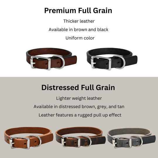 Small Breed Dog Collar Infograph