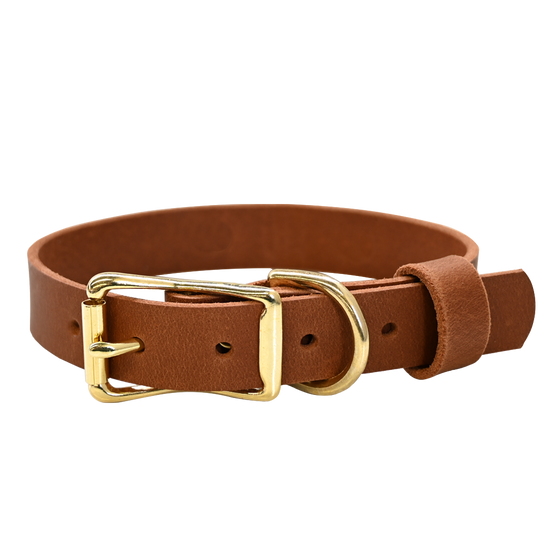 Standard Dog Collar - Distressed Tan - Brass 