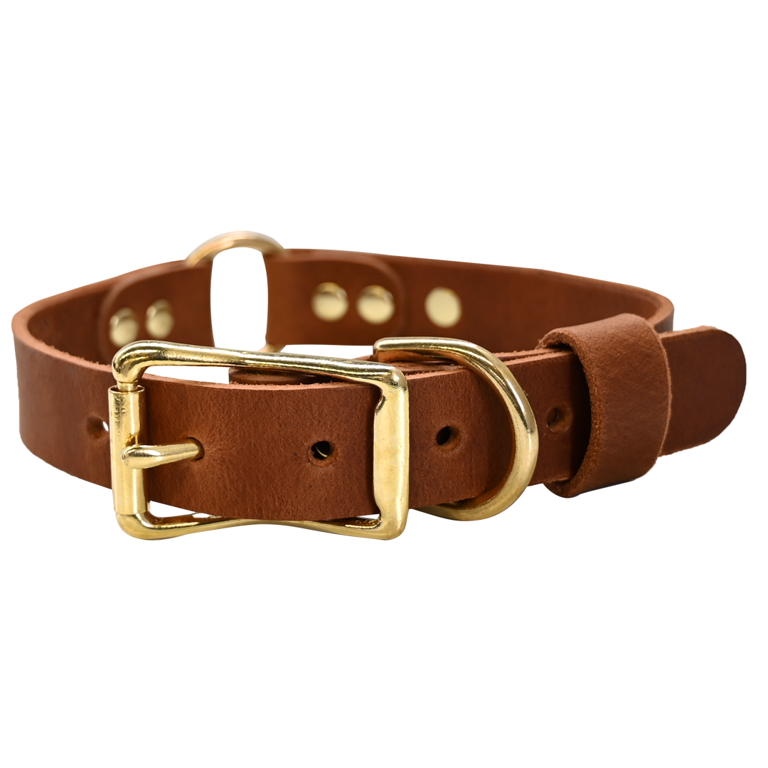 Personalized Hunting Dog Collar - Distressed Tan - Brass Hardware