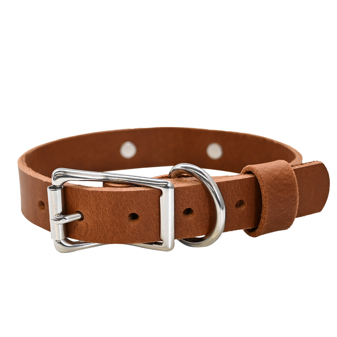 Distressed Tan Collar - Nickel Hardware