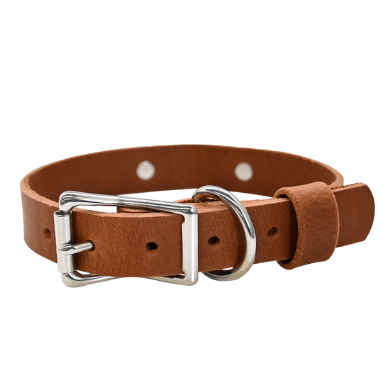 Distressed Tan Collar - Nickel Hardware