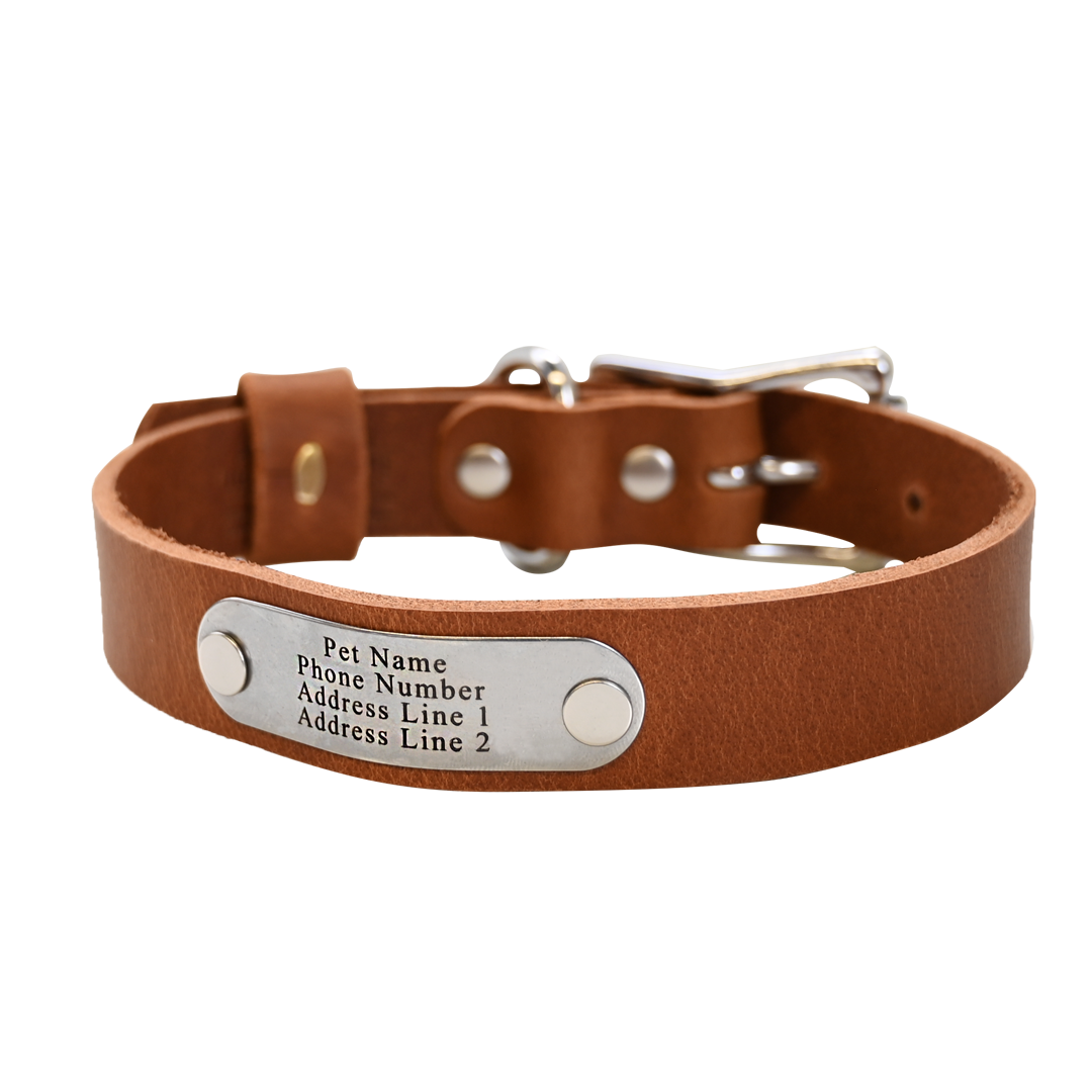 Distressed Tan Collar - Nickel Nameplate