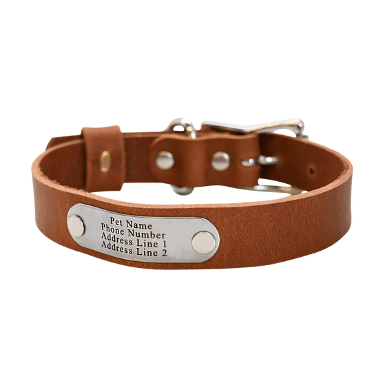 Distressed Tan Collar - Nickel Nameplate