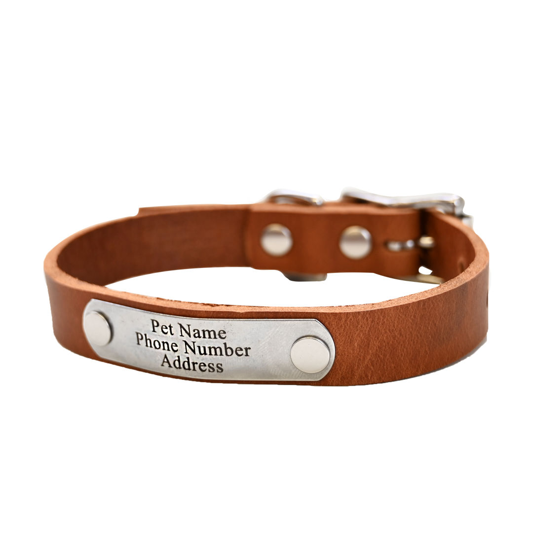 Small Breed Dog Collar - Distressed Tan - Nickel Plate