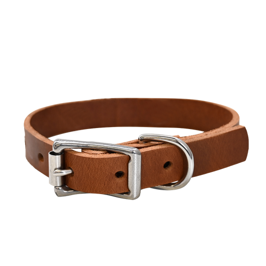Small Breed Dog Collar - Distressed Tan - Nickel