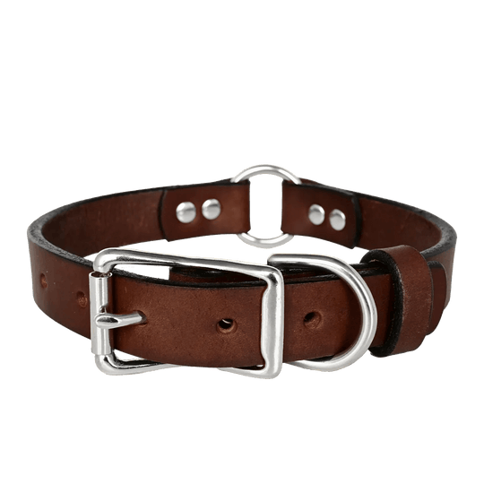 Center Ring Dog Collar--American Bench Craft-ABC-PP-ORCL-BR-NI