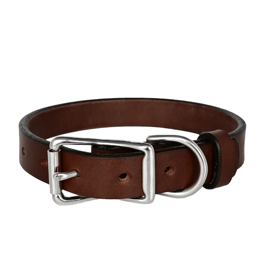 Standard Dog Collar--American Bench Craft-ABC-PP-SLC-BR-NI